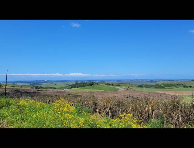 134HA FARM FOR SALE IN BALLITO RURAL